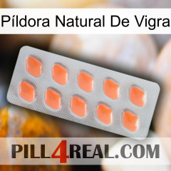 Píldora Natural De Vigra 26